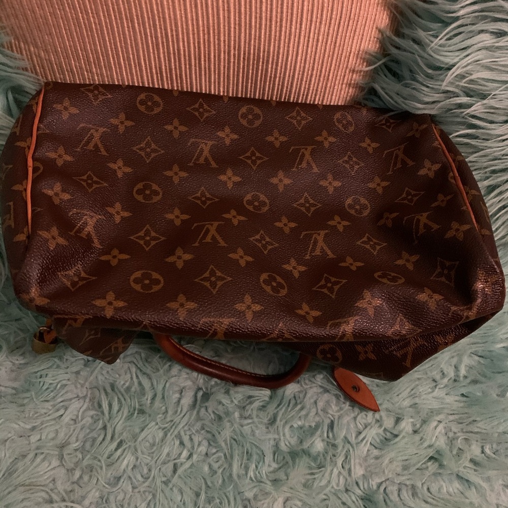 Louis Vuitton Satchel Mint